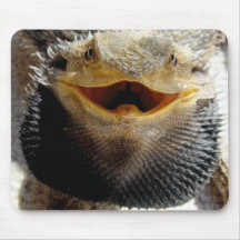 mousepad farpado do dragão