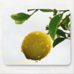 Mousepad - limão molhado na chuva tapetes para ratos