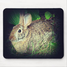 Mousepad selvagem do coelho de coelho