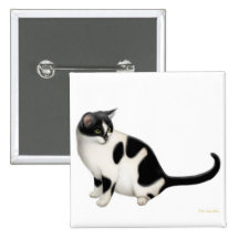 Moxie o Pin do gato do smoking Boton