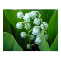 Muguet Cartoes Postais
