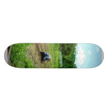 Mulher que planta o jardim perto do celeiro skates