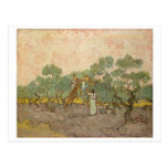 Mulheres que escolhem azeitonas, Vincent van Gogh Cartao Postal