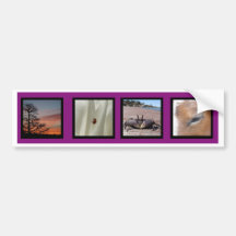Multi foto de Wollondilly Adesivos