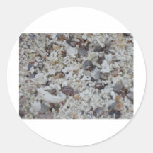 Muscheln von Costa Adesivo