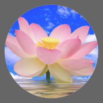 Nascer da flor de Lotus na água autocolantes