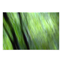 Natação ramificada da árvore fotografia