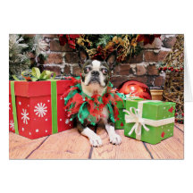 Natal - Boston Terrier - Natty Cartões