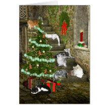 Natal do gato cartões