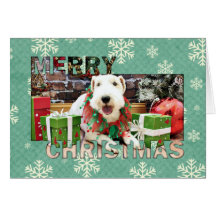 Natal - Fox Terrier - Annie Cartoes