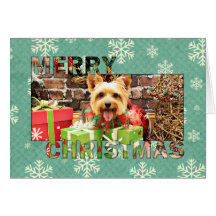 Natal - Terrier de seda - Haley Cartões