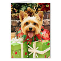 Natal - Terrier de seda - Haley Cartões