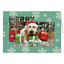 Natal - Terrier Wheaten - Bailey Cartao