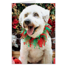 Natal - Terrier Wheaten - capitão Cartões