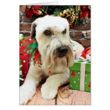 Natal - Terrier Wheaten - irlandês Cartao