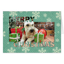 Natal - Terrier Wheaten - irlandês Cartao
