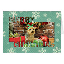 Natal - yorkshire terrier - Vinnie Cartão