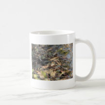 Nature One Canecas