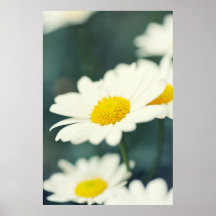 Natureza flor posteres