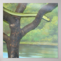 NATUREZA POSTERS