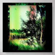 Natureza Posteres