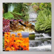 Natureza Posteres