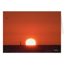Navigação fora do cartão de Sun