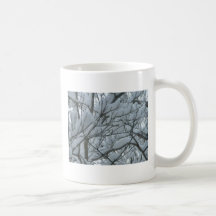 Neve Caneca