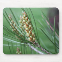 newbeginnings mousepad