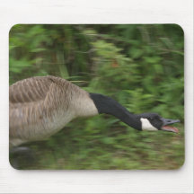 No movimento Mousepad