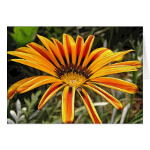Notecard da flor cartoes