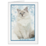 notecard do ragdoll do inverno cartão
