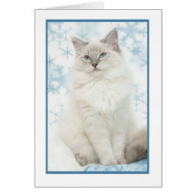 notecard do ragdoll do inverno cartão