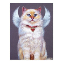 O anjo dos namorados (gato de Ragdoll) Cartão Postal