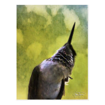 O anjo voa a série cartao postal
