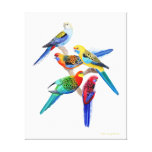 O australiano Rosella repete mecanicamente canvas Impressão De Canvas Envolvidas