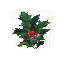 O azevinho do natal vintage esticou o impressão da impressão de canvas esticada
