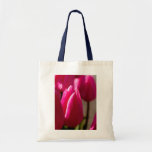 O bolsa cor-de-rosa bonito da tulipa