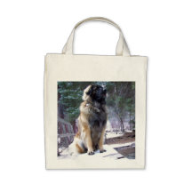 O bolsa do mantimento de Leonberger