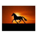 O cavalo Running Cartões Postais