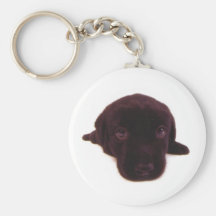 O chaveiro o mais bonito do filhote de cachorro