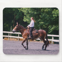 o Condado de Howard justo Mousepad