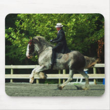 o Condado de Howard justo Mousepad