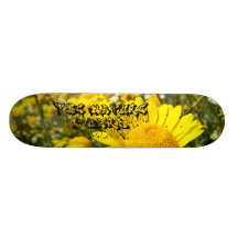 O conselho da natureza skateboard