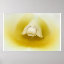 O coração da orquídea pôsteres