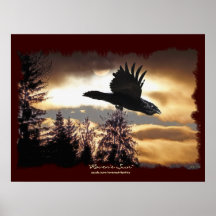 O corvo SAGRADO & Sun áspero-afiaram o poster da a