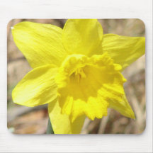 O Daffodil amarelo floresce o tapete do rato Mousepads