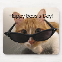O dia do chefe feliz - gato legal nos óculos de so