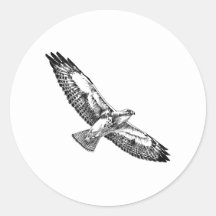 O falcão de Swainson (em vôo) Adesivos Redondos