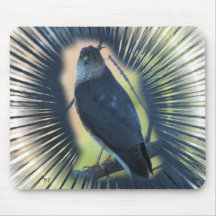 O falcão Mousepad do tanoeiro de Missouri